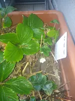 IMG_20200408_192045.webp