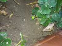IMG_20200408_192106.webp