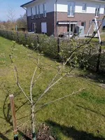 IMG_20200411_120845.webp
