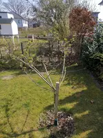IMG_20200411_120852.webp