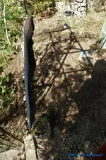 comp_DSC08832.webp