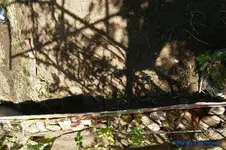comp_DSC08833.webp