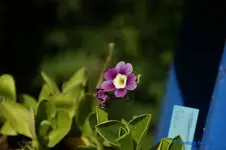 comp_DSC08835.webp