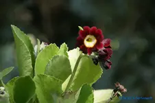 comp_DSC08838.webp