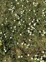 IMG_4156.webp