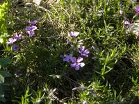 DSCN6327.JPG