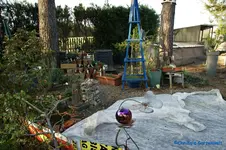 comp_DSC08844.webp