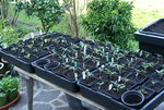 April  0520.JPG