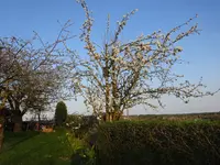 DSC00923.JPG