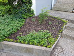 20200411_075208.jpg