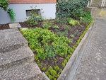 20200411_075219.jpg