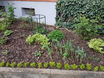 20200411_075235.jpg