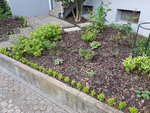 20200411_075238.jpg