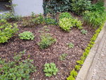 20200413_073350.jpg
