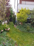 20200413_073531.jpg