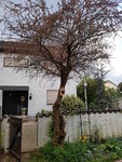 20200413_073556.jpg