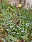 20200413_073712.jpg