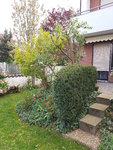 20200413_073738.jpg