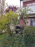 20200413_073748.jpg