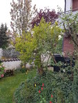 20200413_073751.jpg