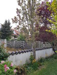 20200413_073811.jpg