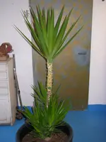 14_02_2020 (11).webp