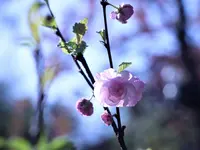 image001.jpg