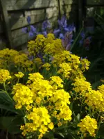 IMG_20200414_172148[1].webp
