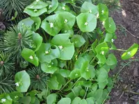 IMG_2553.webp