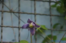 comp_DSC08851.webp