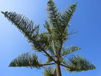 IMG_3427v (2).webp