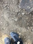 IMG_7154.JPG
