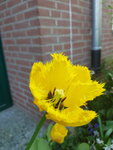 20200416_153537.jpg