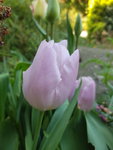 20200416_153516.jpg