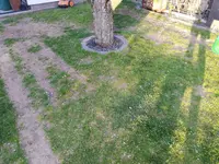 IMG_20200416_192628.webp