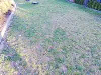 IMG_20200416_192612.webp