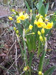 20200413_170428.jpg