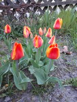 20200411_200532.jpg