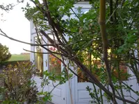 DSC00940.JPG