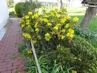 DSC00935.webp