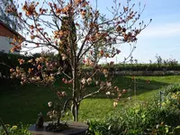 DSC00927.webp