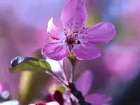 image002.webp