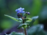 image003.jpg