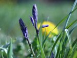 image011.jpg
