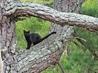 IMG_3369 v (2).webp