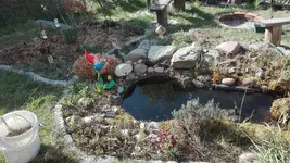 IMG_20200415_162718.jpg