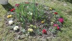 IMG_20200415_161959.jpg
