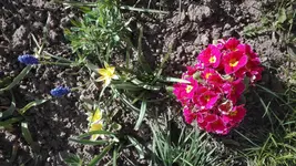 IMG_20200415_161913.jpg