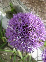 17_05_2019 (15).webp
