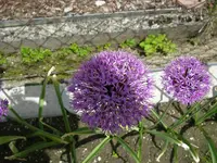 17_05_2019 (14).webp